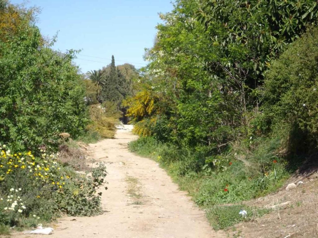 via verde entre rios