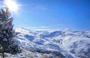 sierra nevada