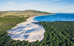 bolonia
