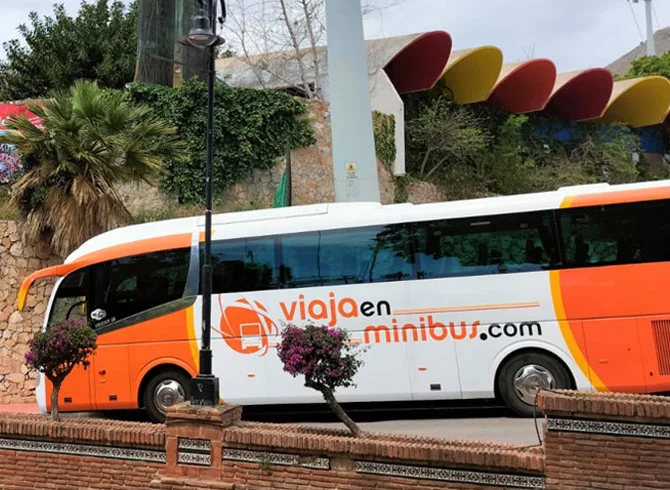 autobus 8